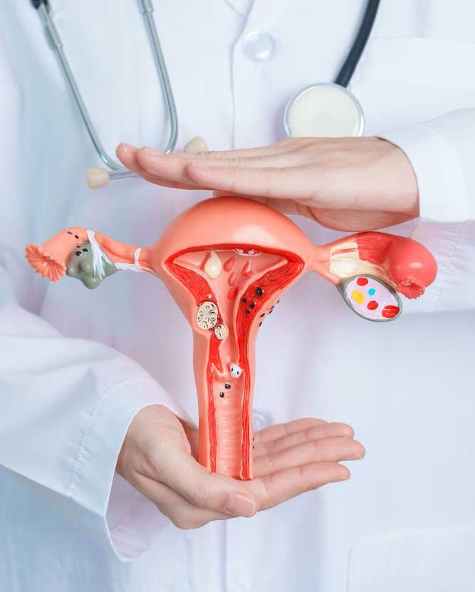 Gynaecology Services in Agra